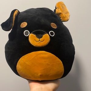 8” Mateo the Rottweiler